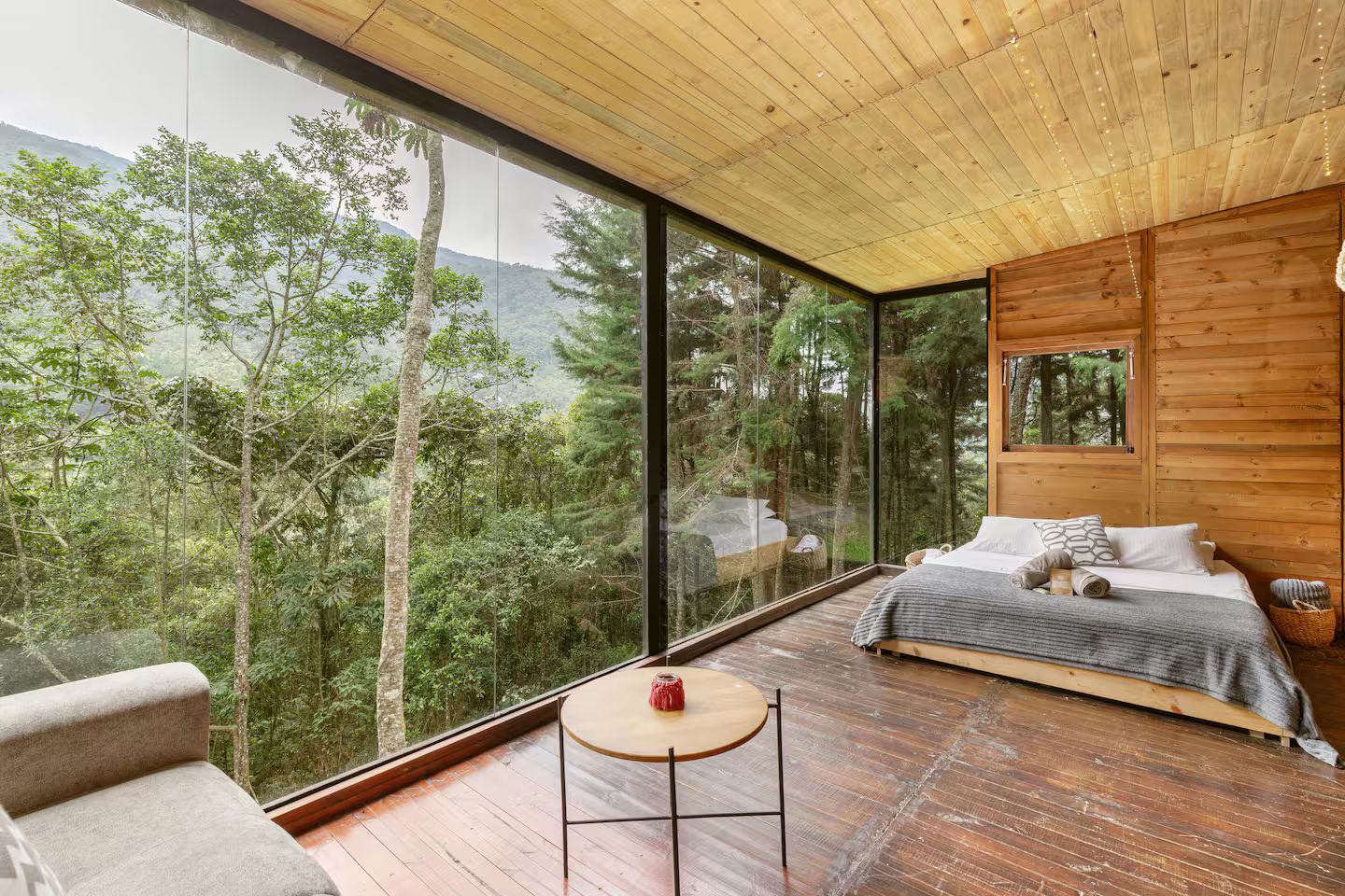 PNR |Pines Restreat | Radiata | Minicasa en el Bosque (1/8)